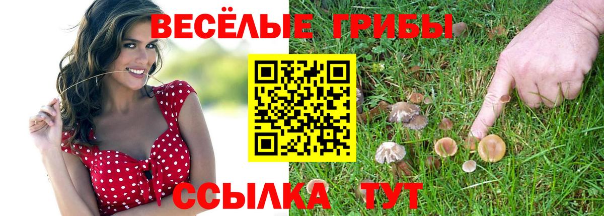 Ливны  Псилоцибиновые грибы прущие грибы  Вход с VPN 