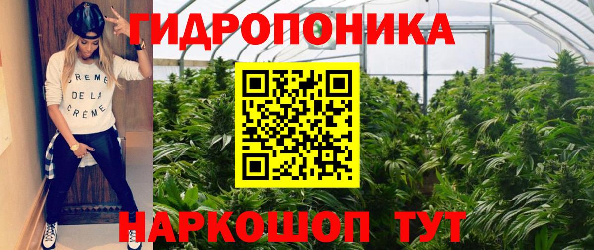 Бошки Шишки MAZAR  Конопля план  Вход с VPN  Ливны  Канабис конопля 